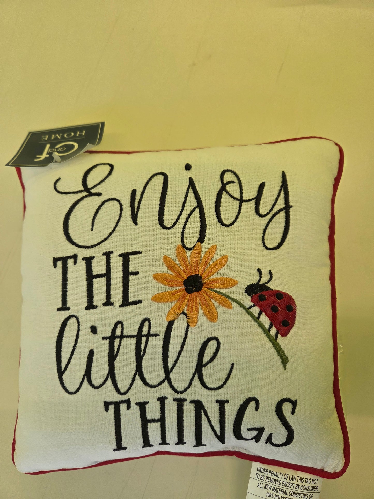 Little Things Ladybug Pillow