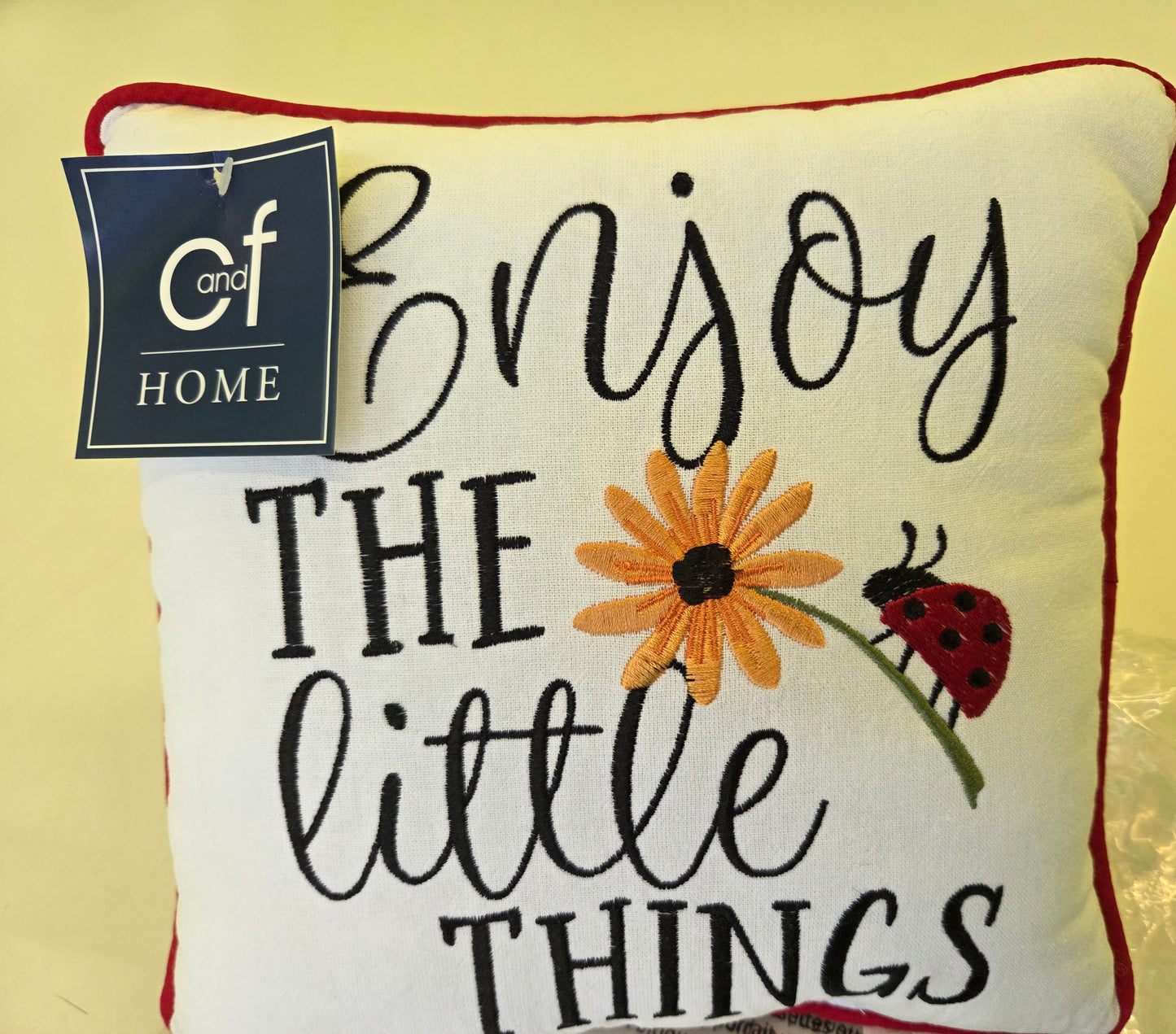 Little Things Ladybug Pillow