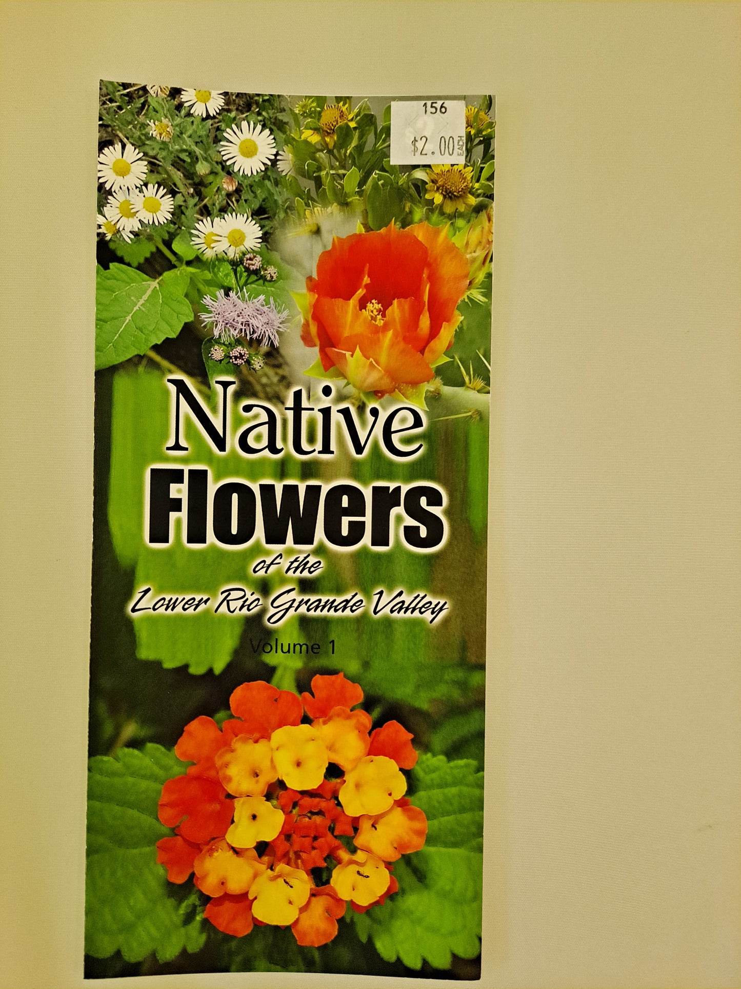 Flowers of the Lower Rio Grande Valley