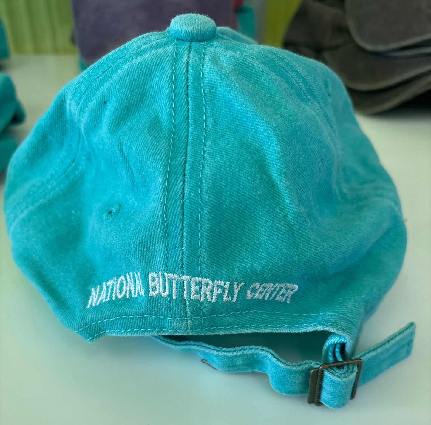 Zebra Longwing cap (Teal)