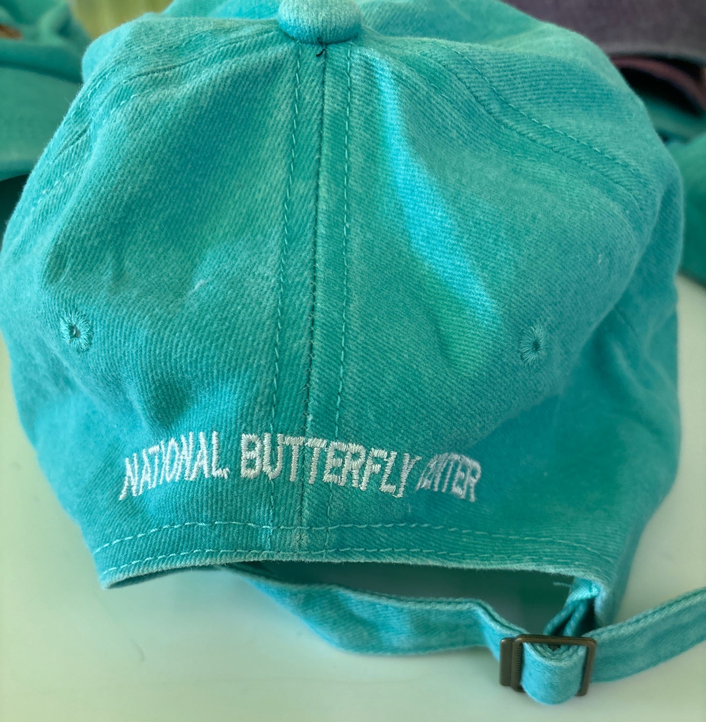 Butterfly spread Cap(Teal)