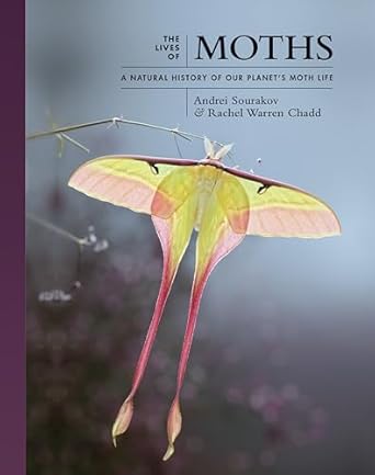 Lives of Moths