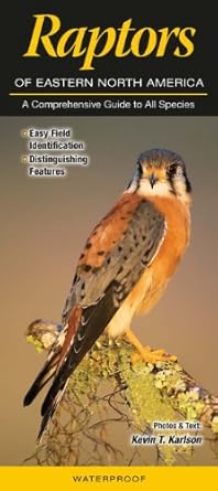 Raptors of Eastern North America