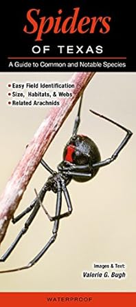 Spiders of Texas