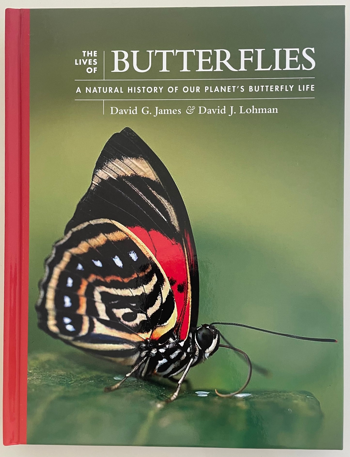 Lives Of Butterflies