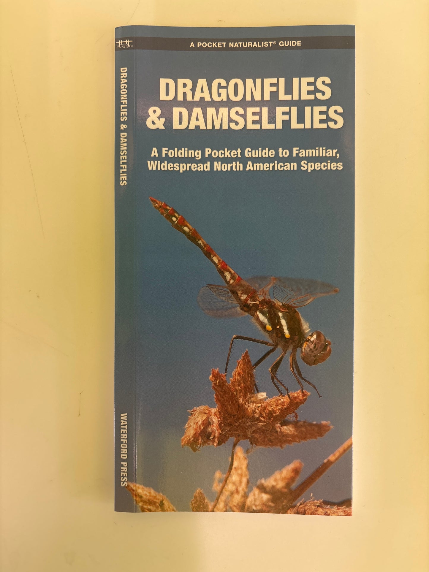 Dragonflies & Damselflies pocket Guide