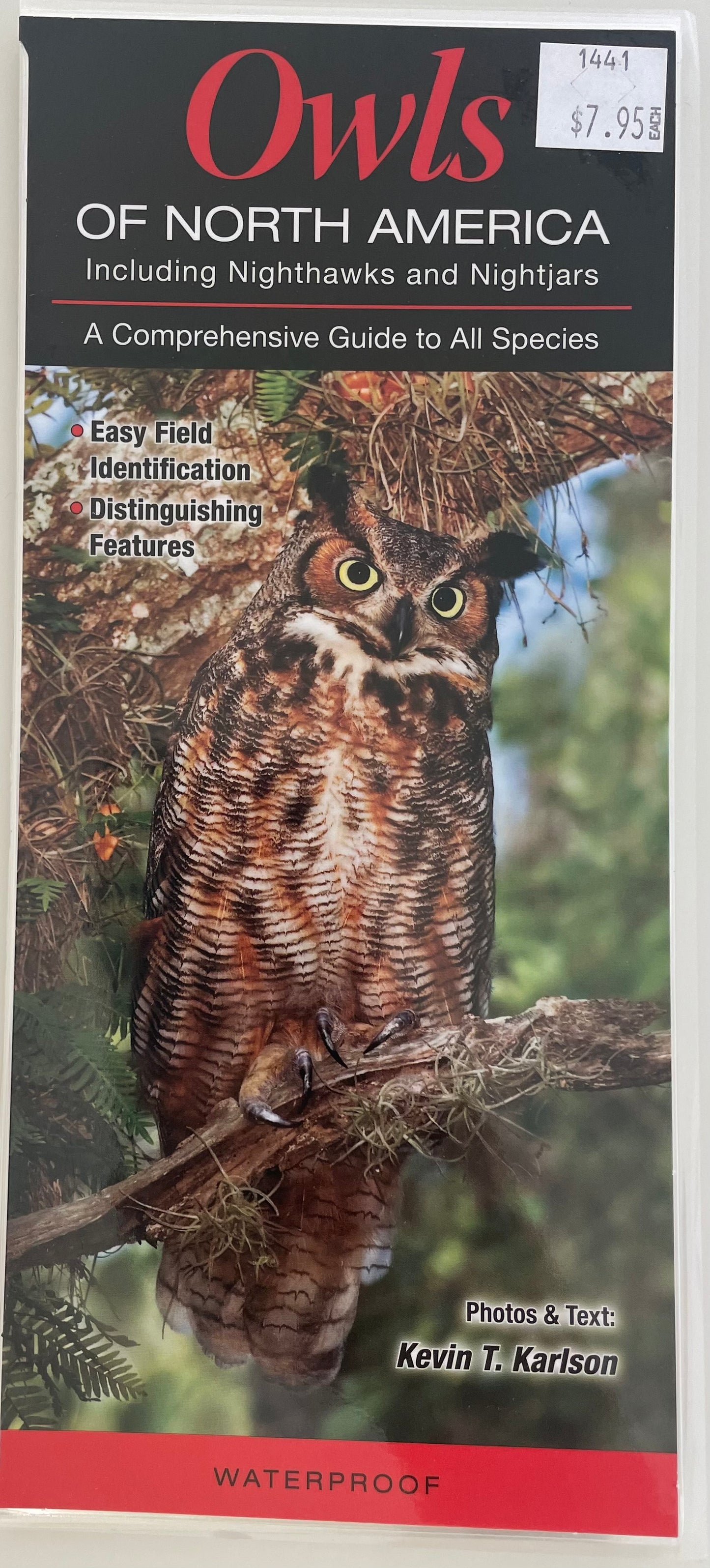 Owls of North America