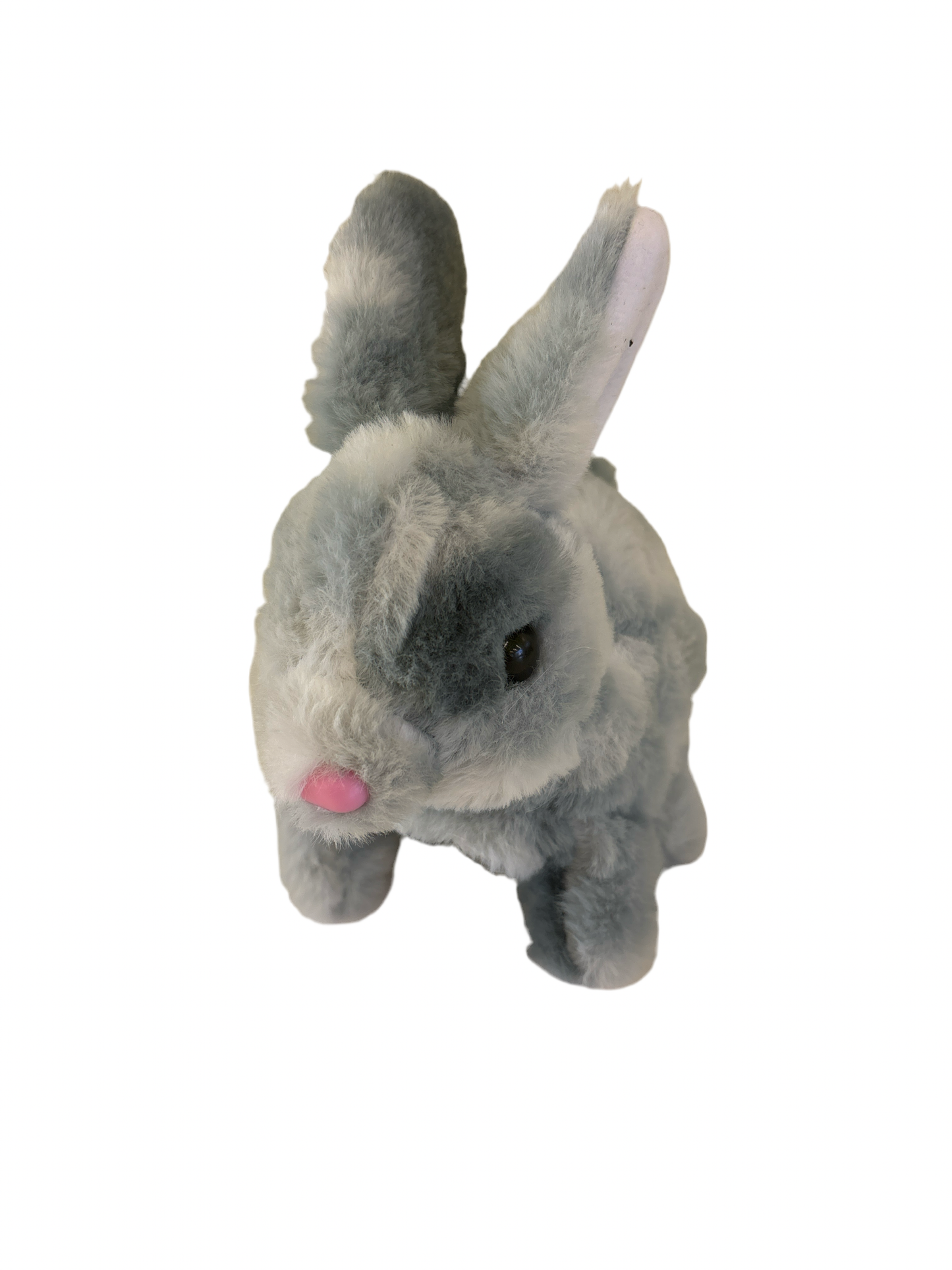 Bouncy Bunny