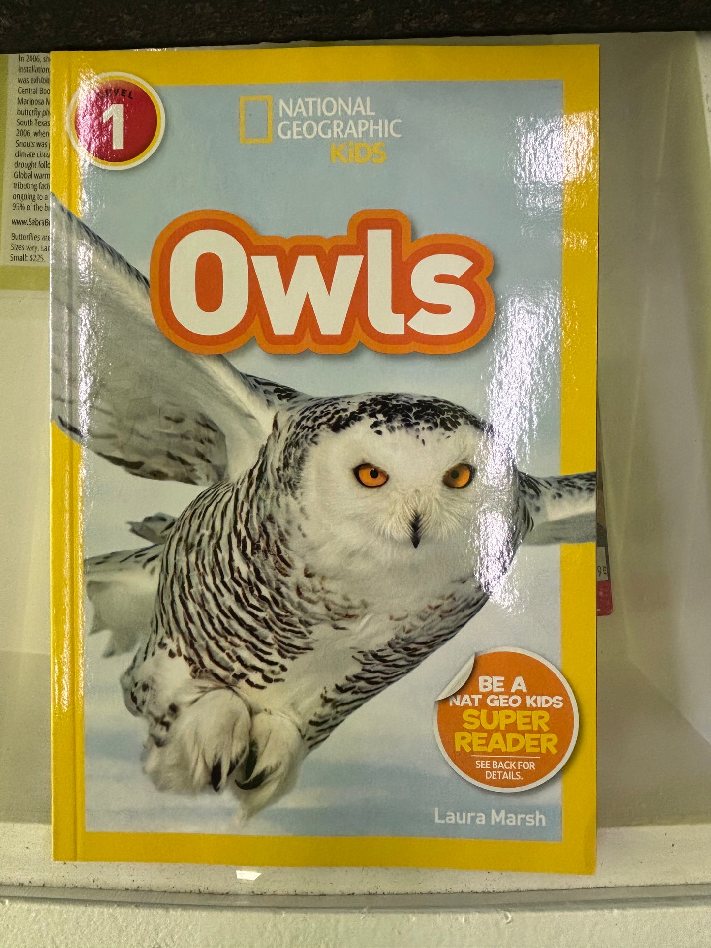 Owls-Nat Geo kids