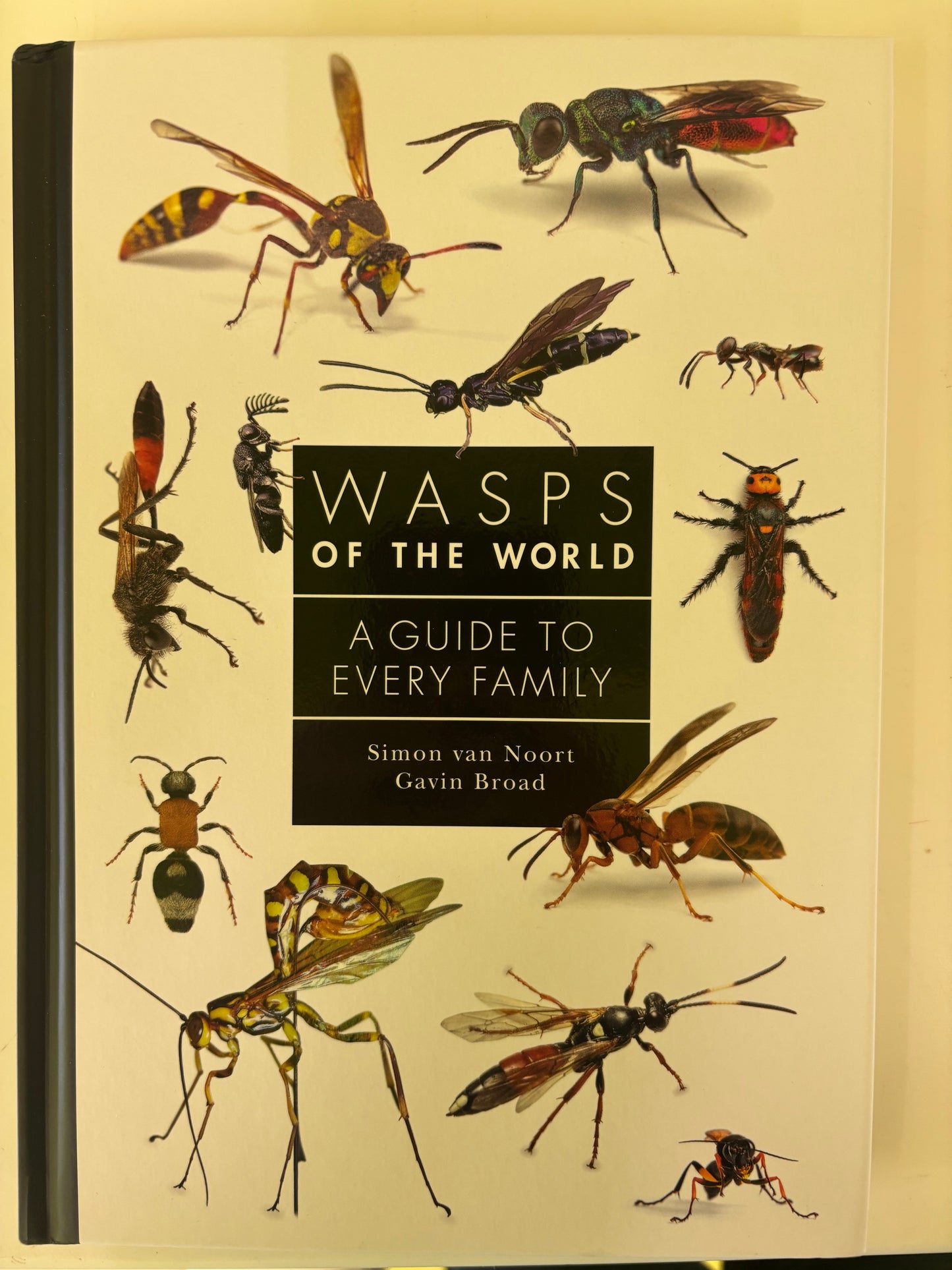 Wasps of the world