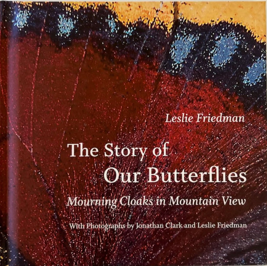 The Story of Our Butterflies
