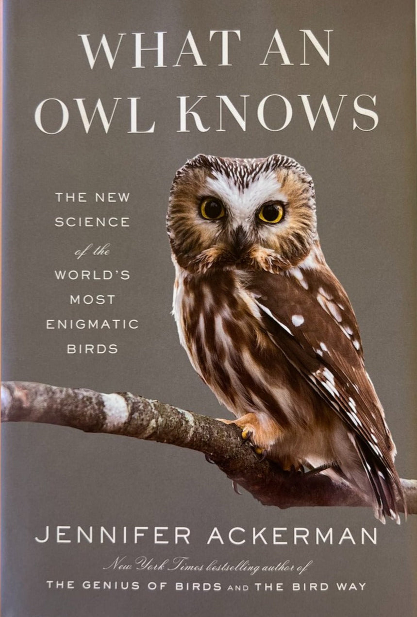 What an Owl Knows