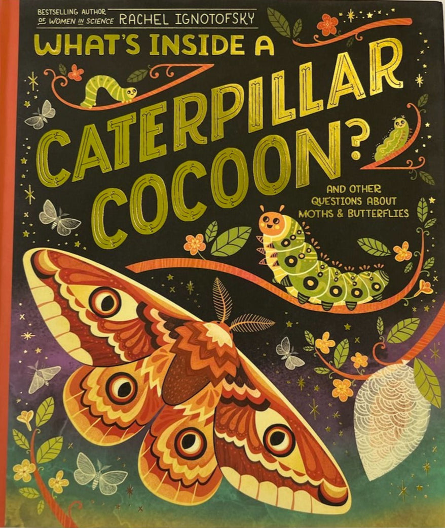 What's Inside a Cocoon?