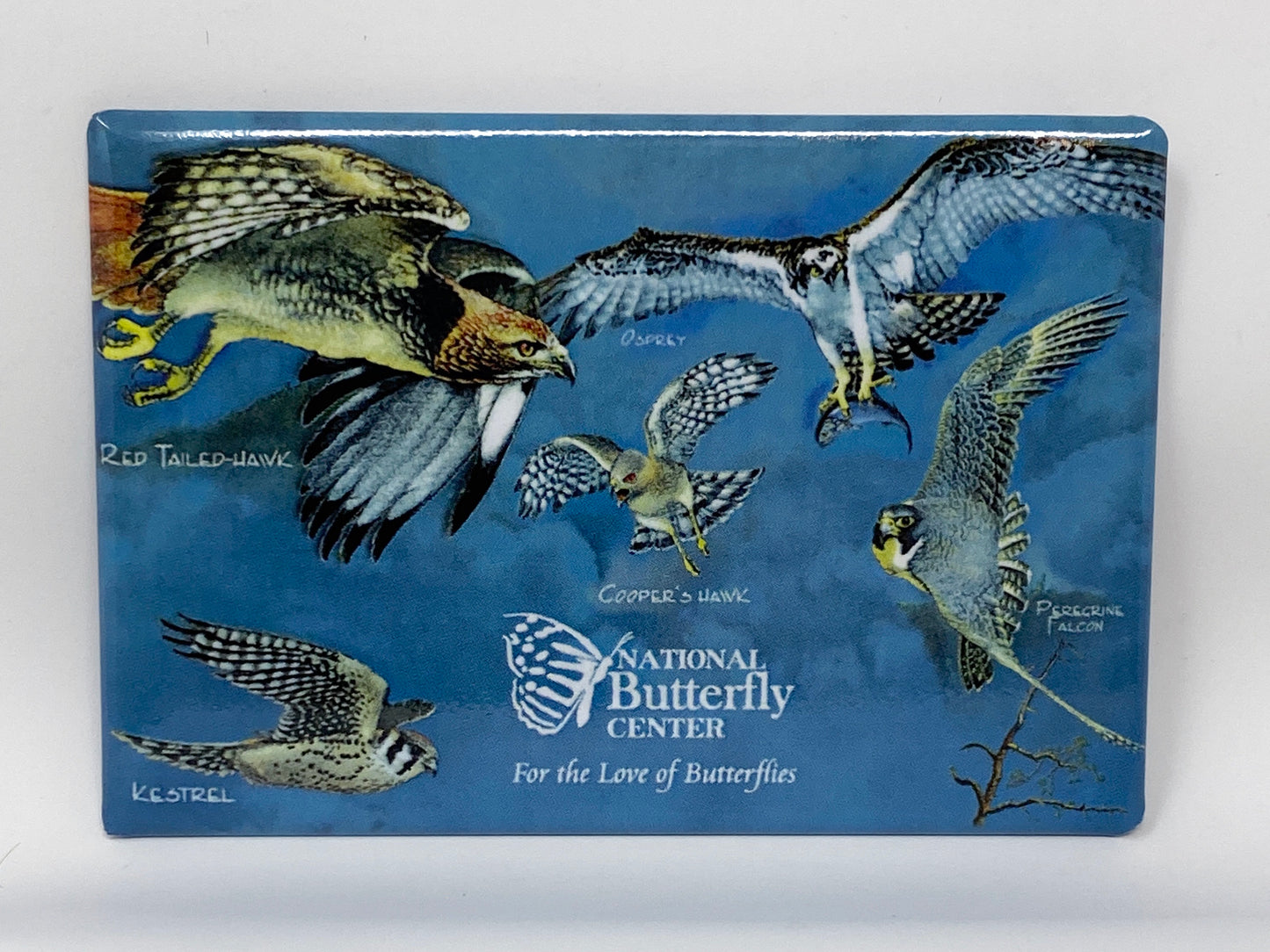 National Butterfly Center Magnets