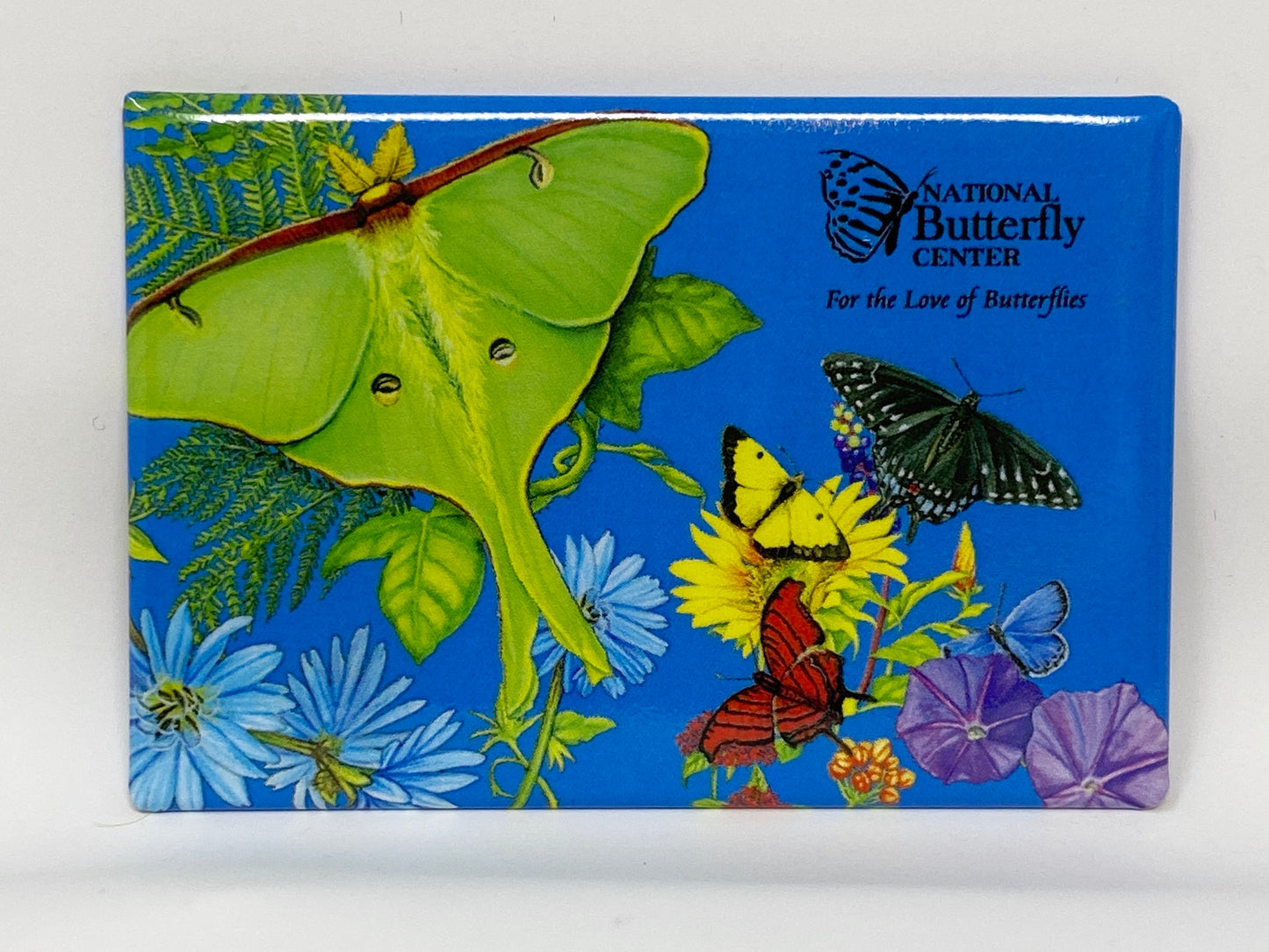 National Butterfly Center Magnets
