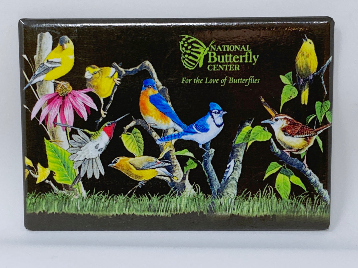 National Butterfly Center Magnets