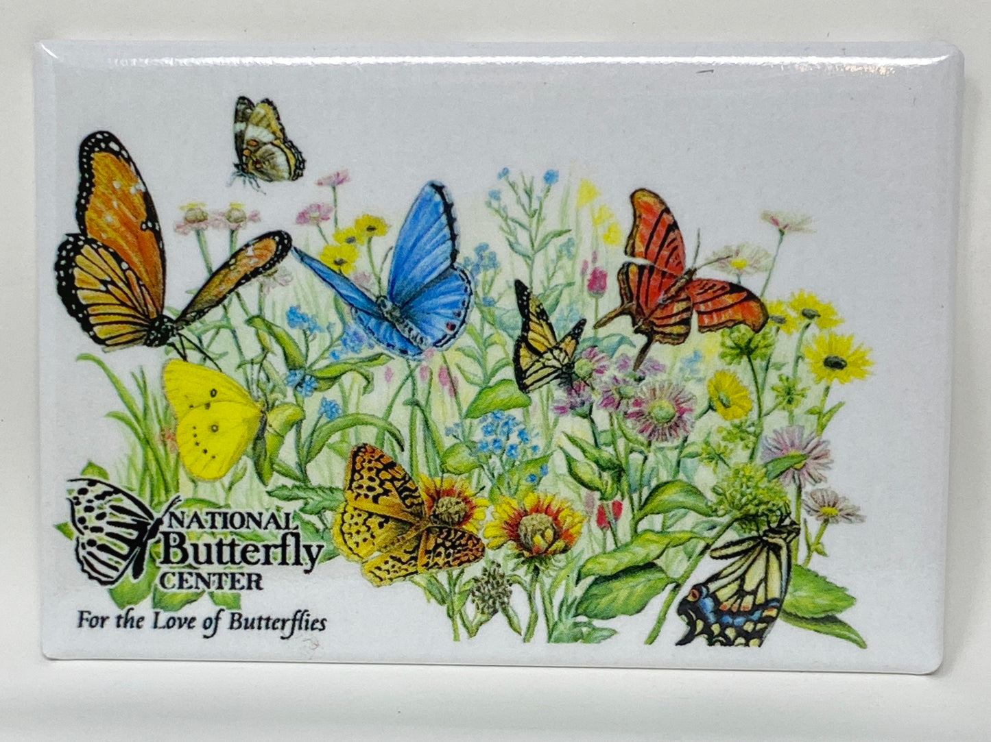 National Butterfly Center Magnets