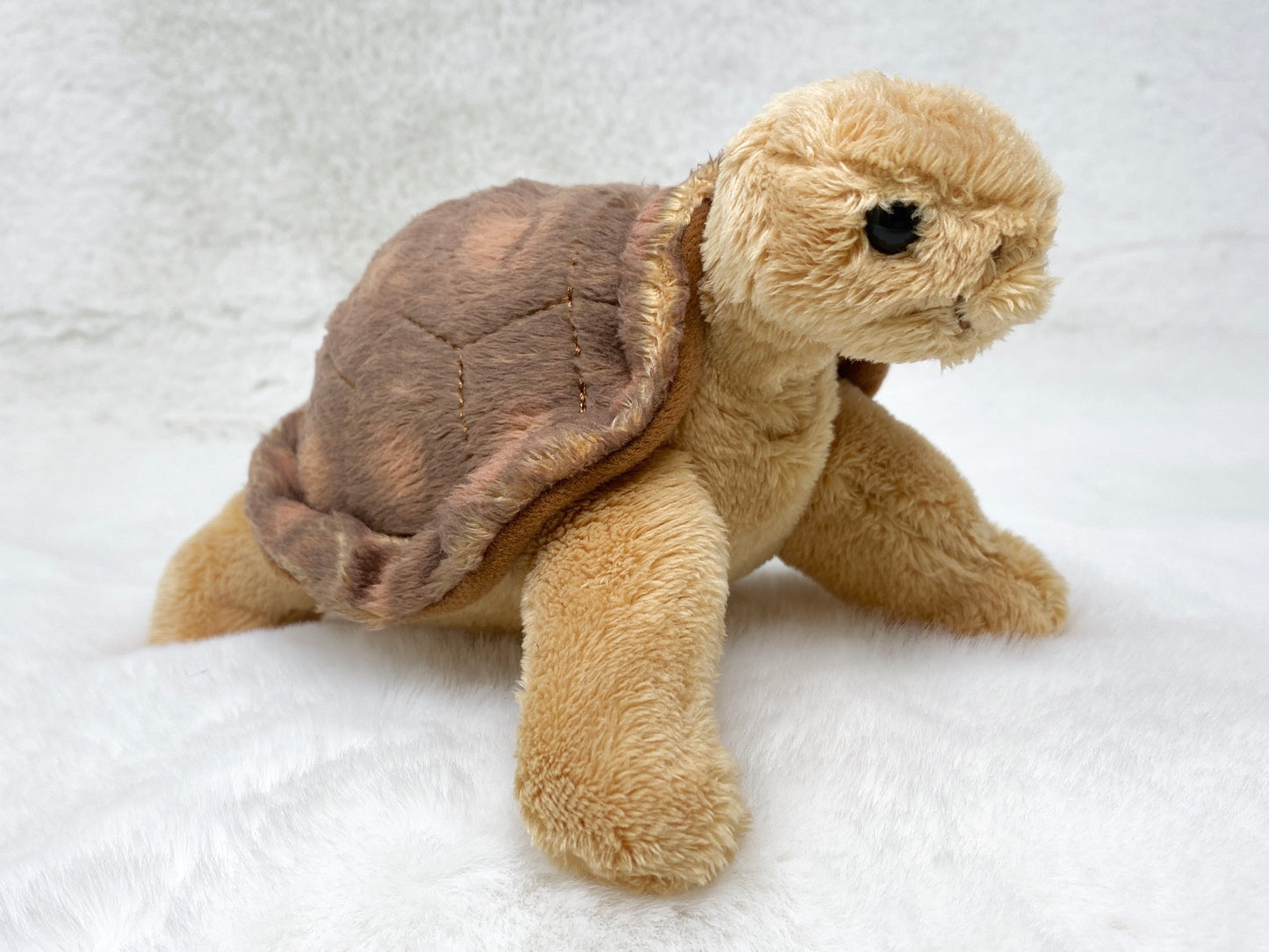 Small Tortoise Plush