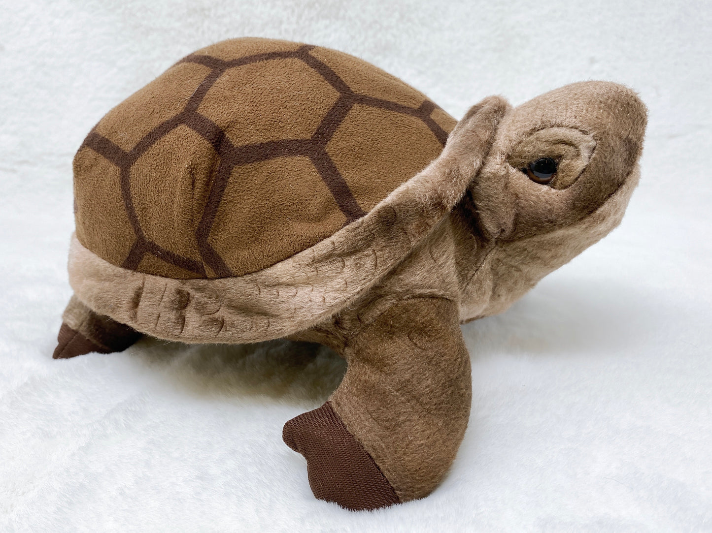 Tortoise Plush