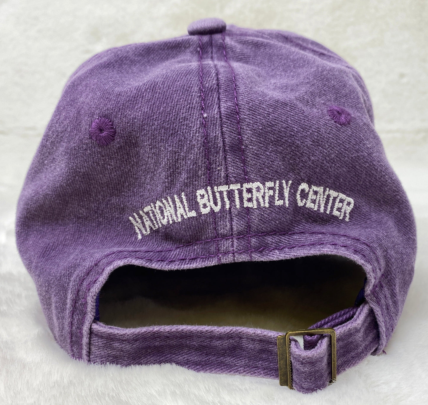 Great Kiskadee Purple Cap