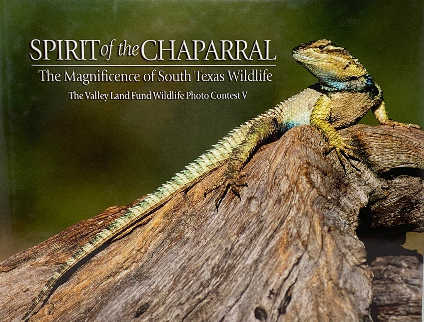 Spirit of the Chaparral: The Magnificence of South Texas Wildlife