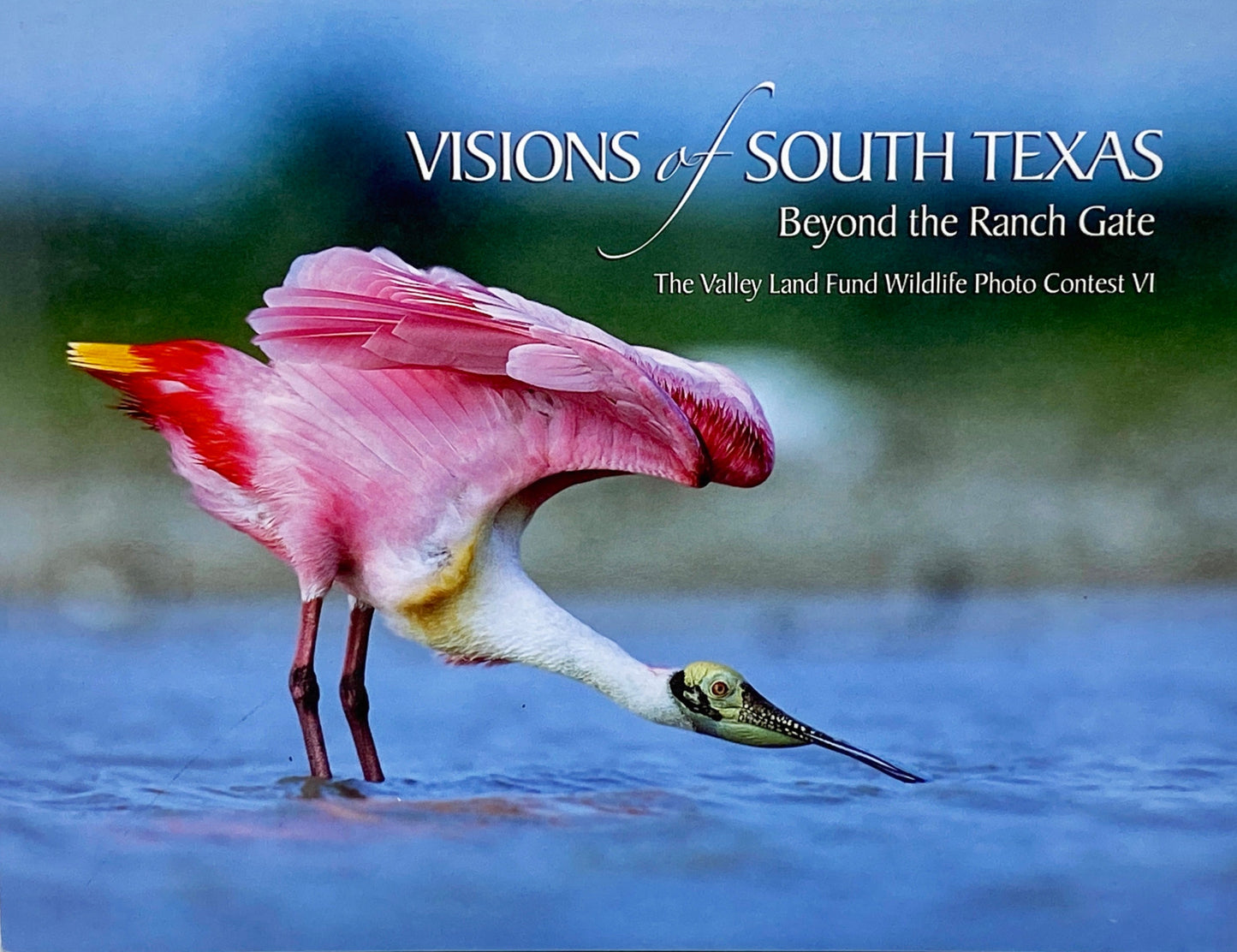 Visions of South Texas: Beyond the Ranch Gate