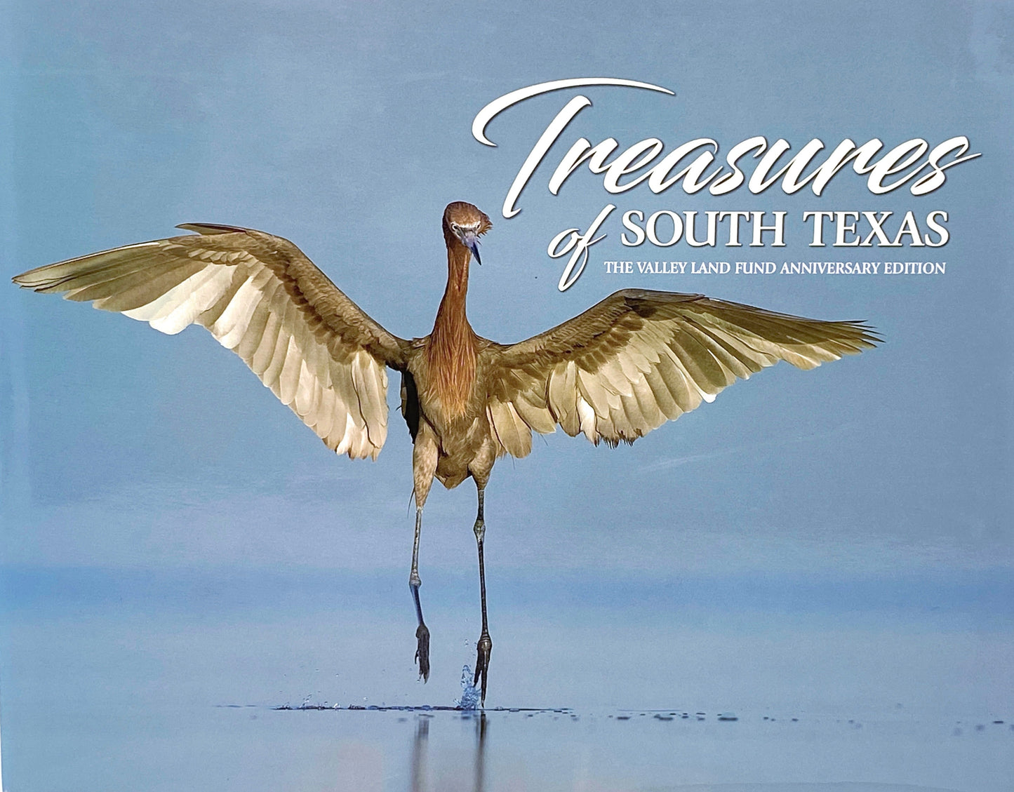Treasures of South Texas
