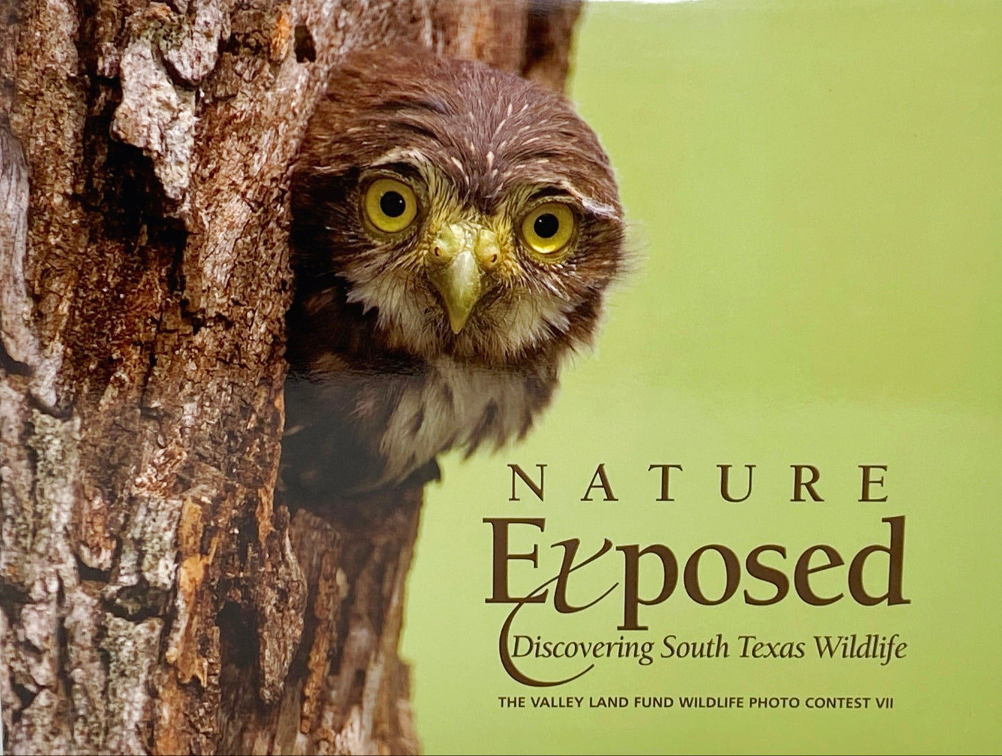 Nature Exposed: Discovering South Texas Wildlife