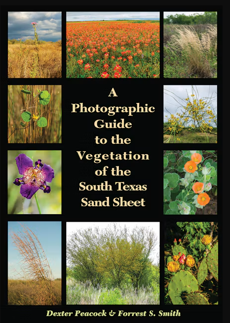 Photographic Guide to the Vegetation of the South Texas Sand Sheet