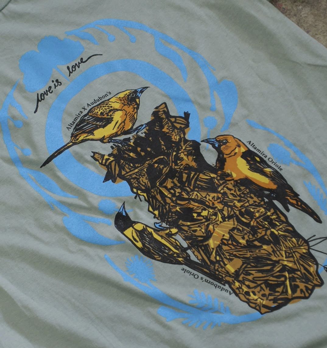 Oriole Print on Pistachio Color T-Shirt Unisex
