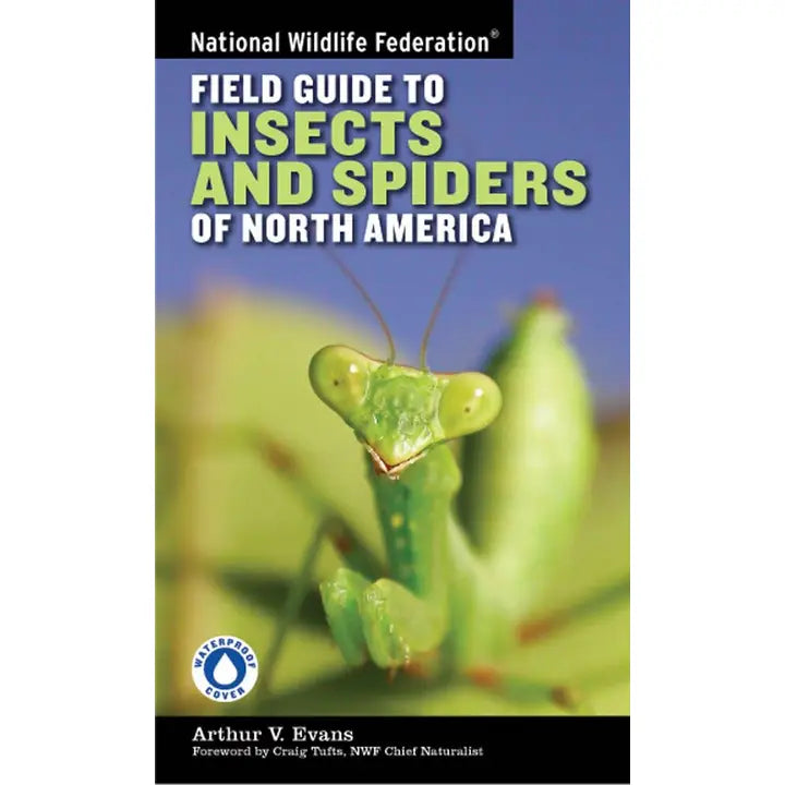 Field Guide to Insects and Spiders of North America