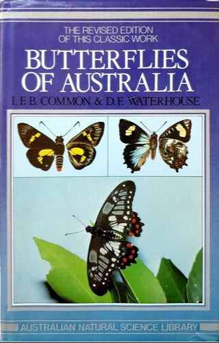 Butterflies of Australia
