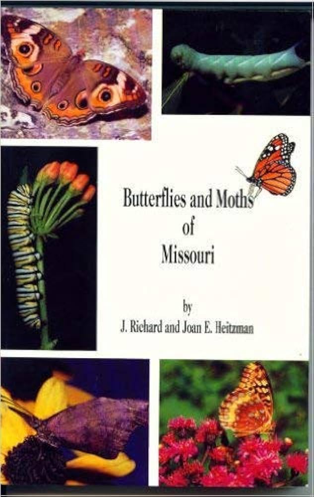 Butterflies and Moths of Missouri