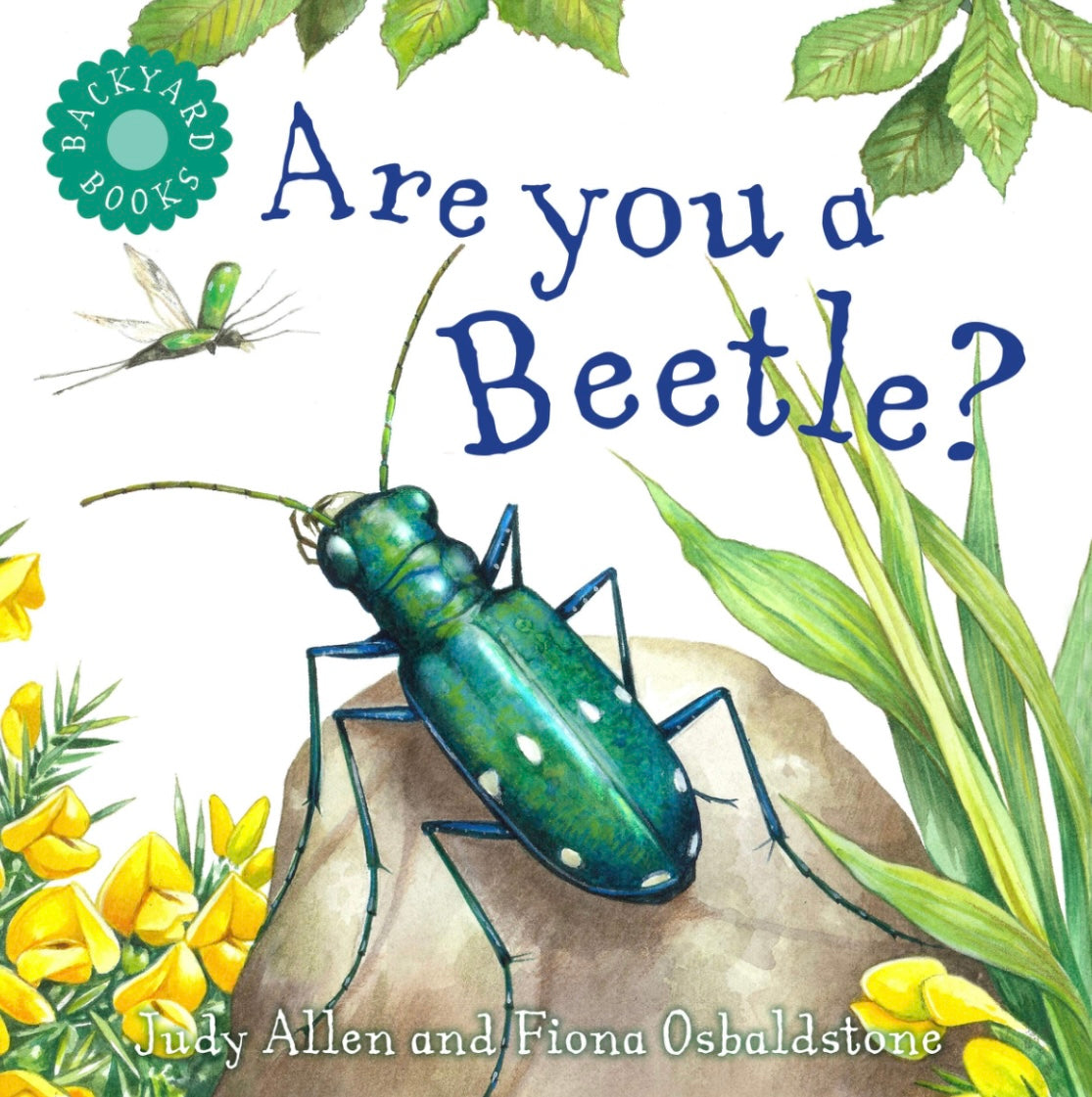 Are You A Beetle? Children's Book