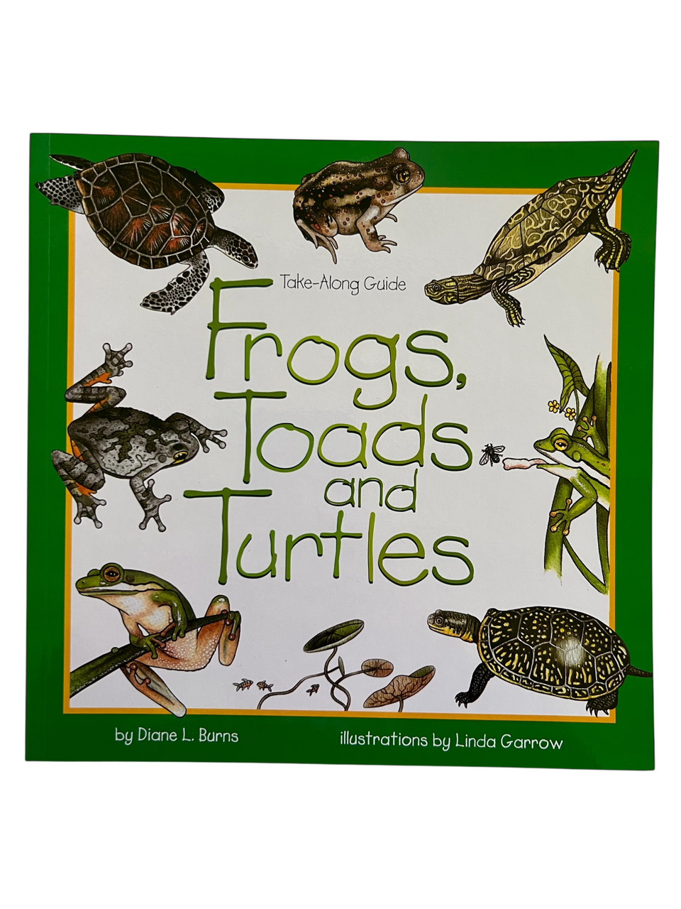 Frogs, Toads, And Turtles