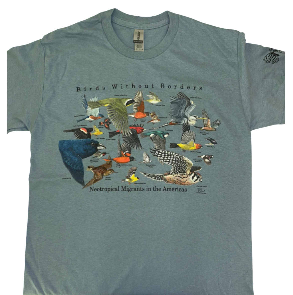 Birds without Borders