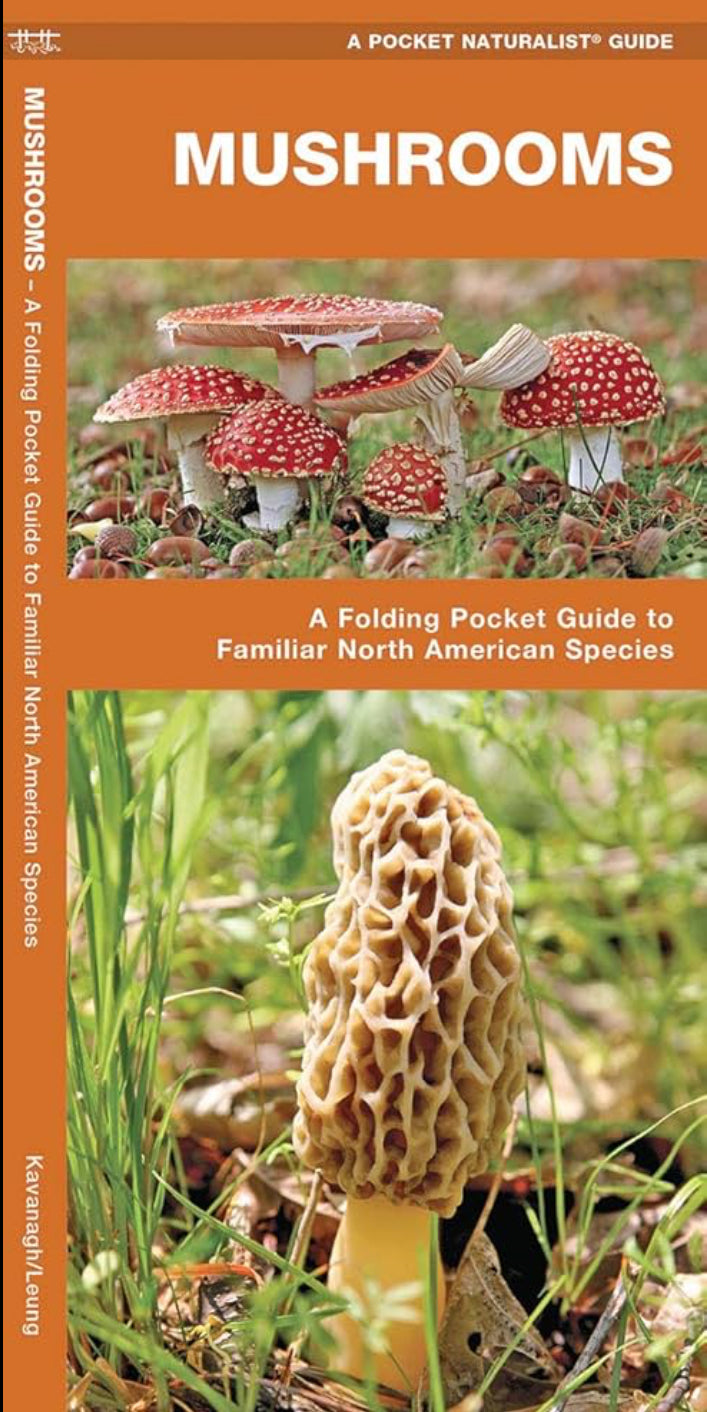 Mushrooms- A Folding Pocket Guide