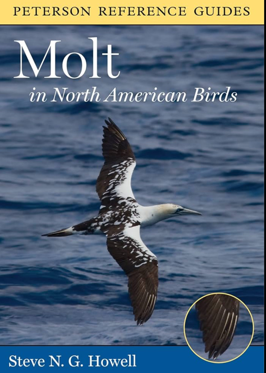 Molt in North American Birds