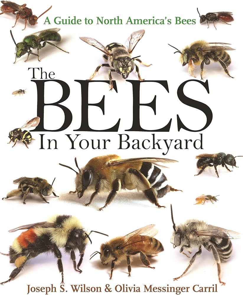 The Bees in Your Backyard