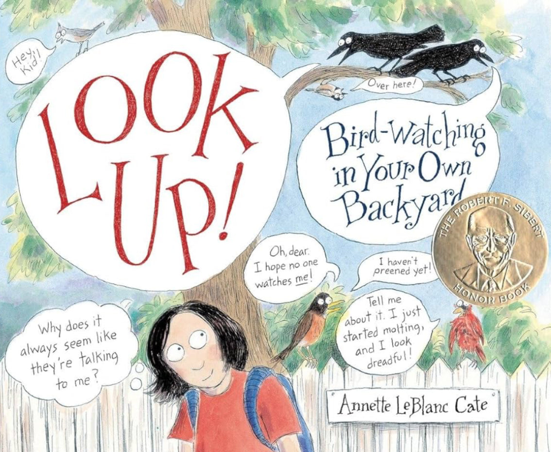 Look Up! Bird-Watching in Your Own Backyard