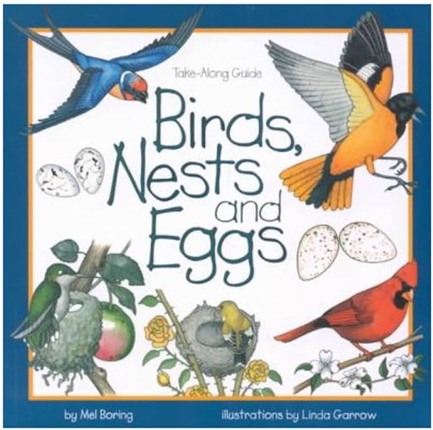 Birds, Nests, and Eggs