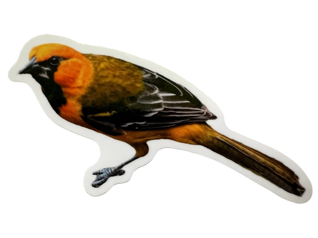 Hybrid / Smudgie Sticker 5"