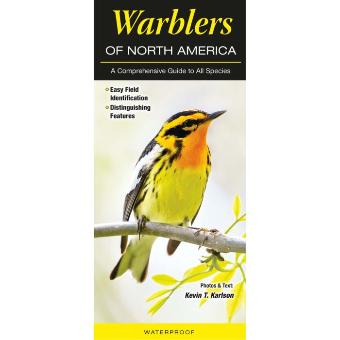 Warblers of North America