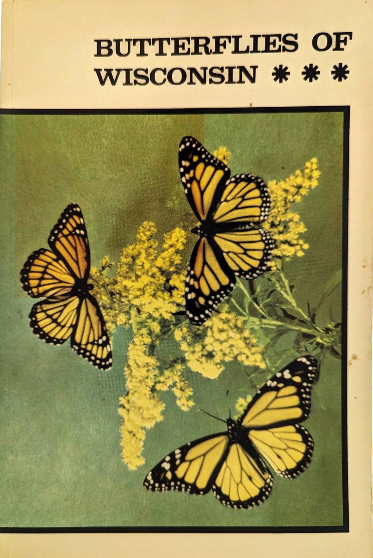 Butterflies of Wisconsin