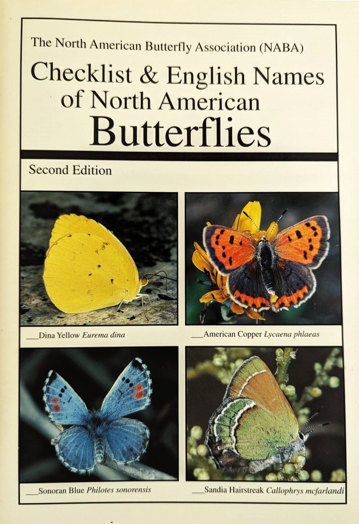 Checklist & English Names of North American Butterflies