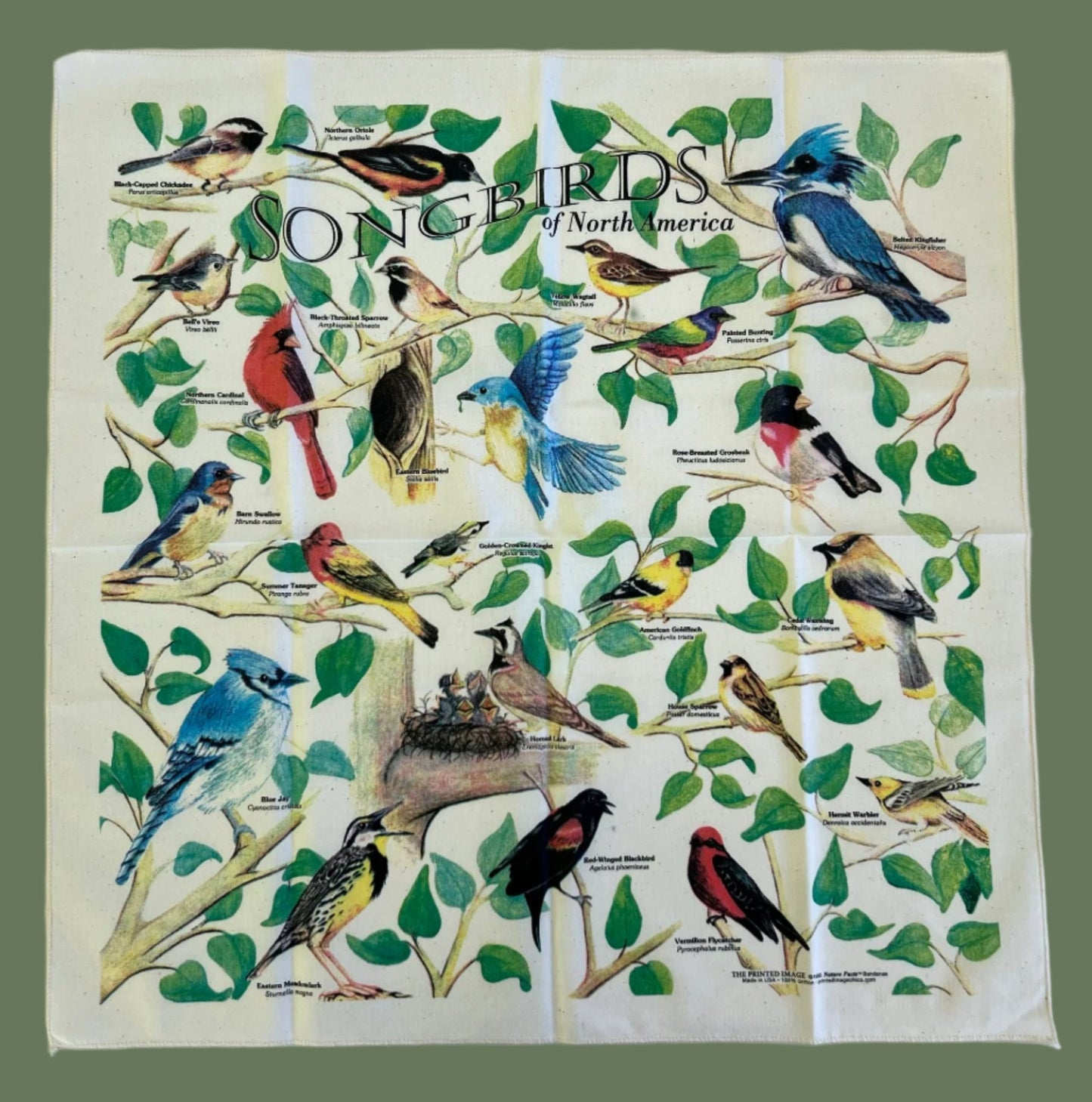 Songbird Bandana