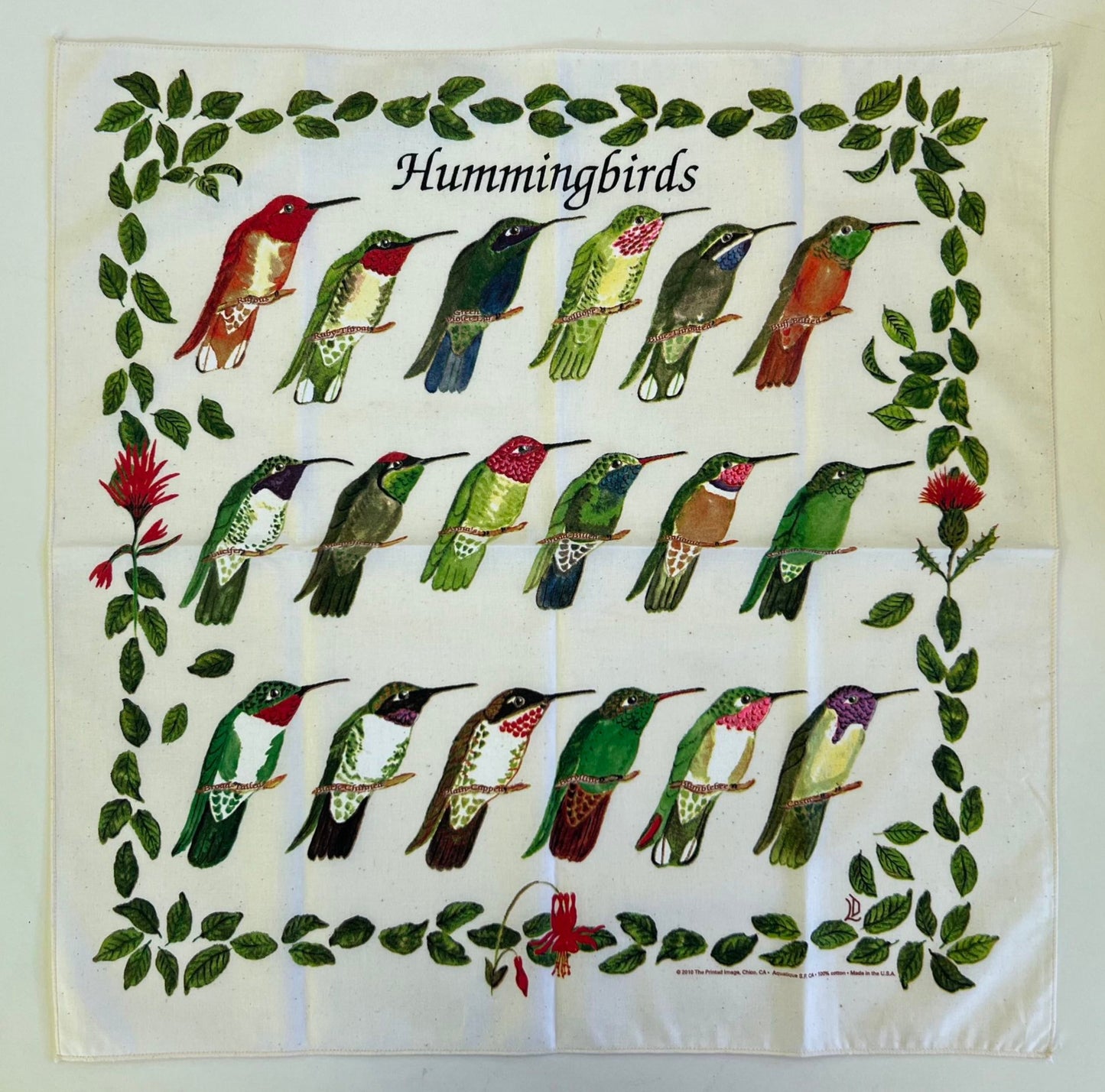 Hummingbird Bandana