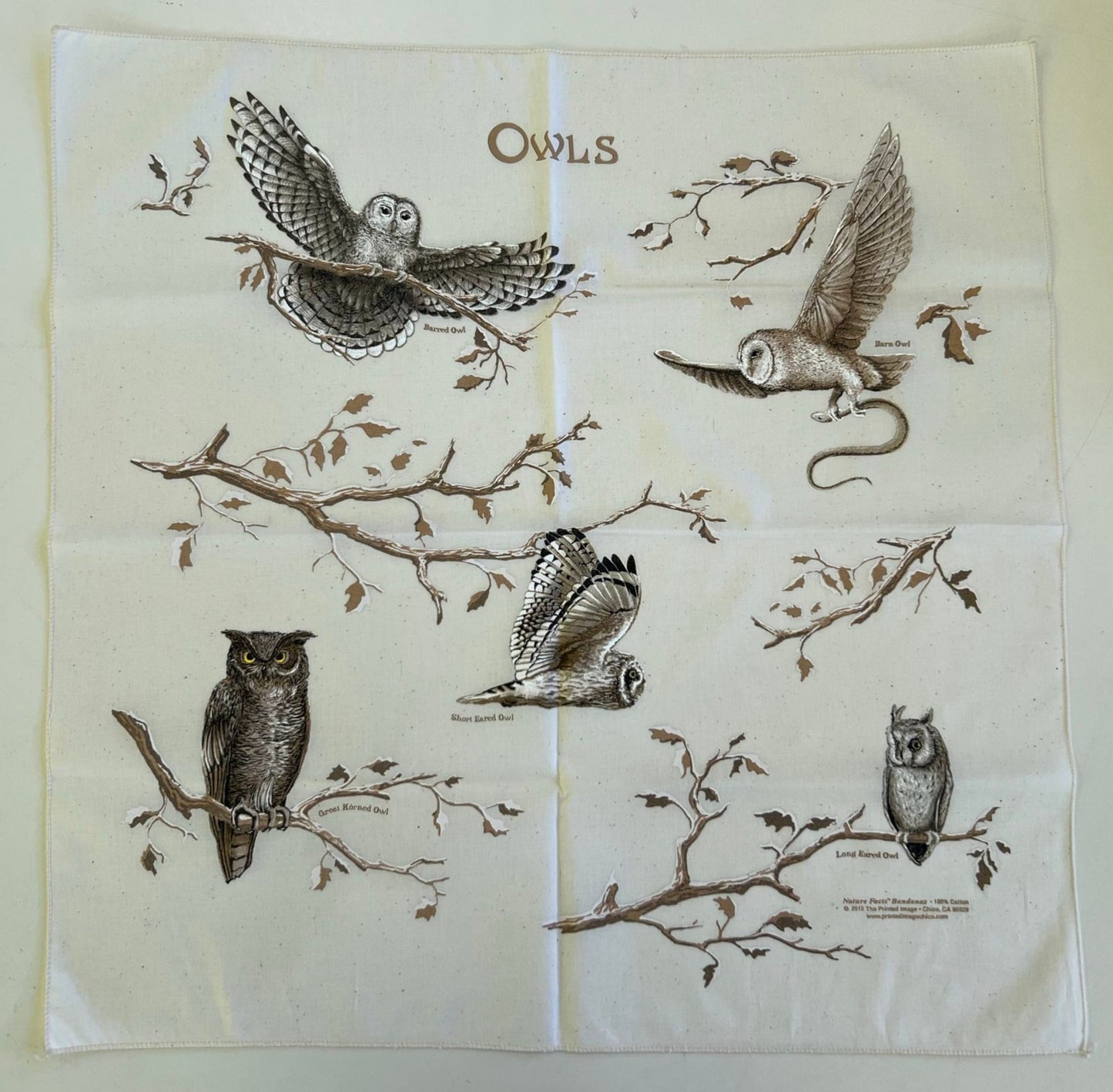 Owl Bandana