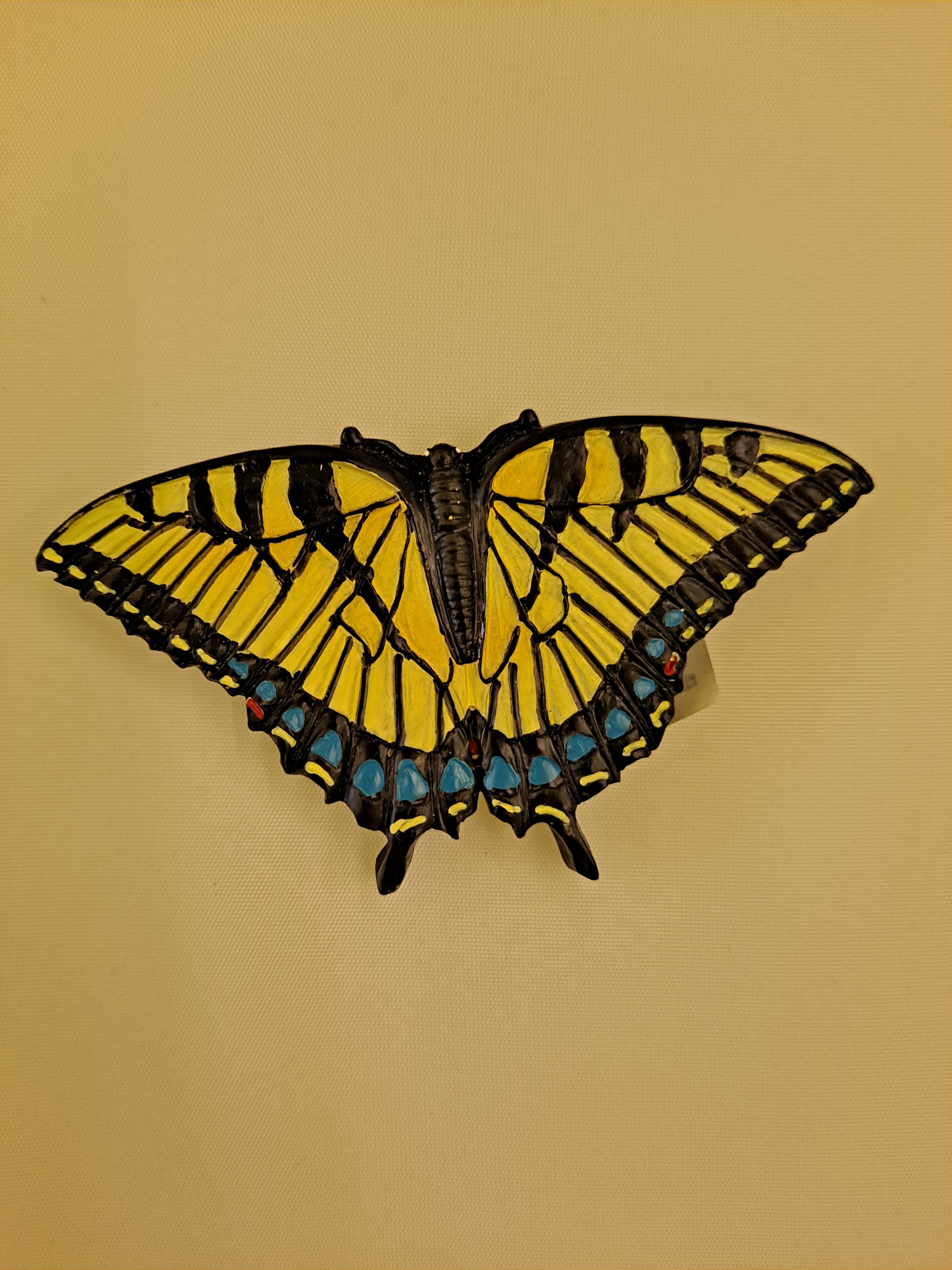 Souvenirs – National Butterfly Center