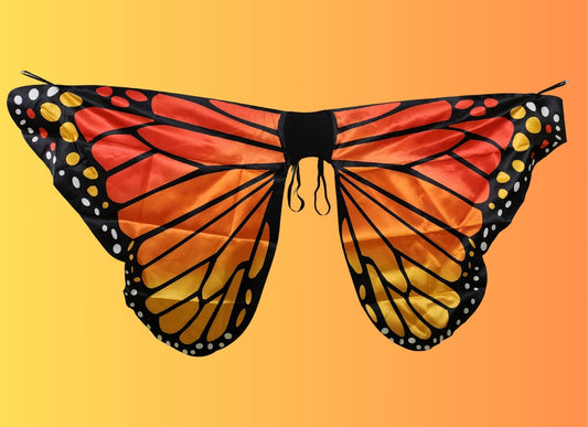 Butterfly Wing Cape